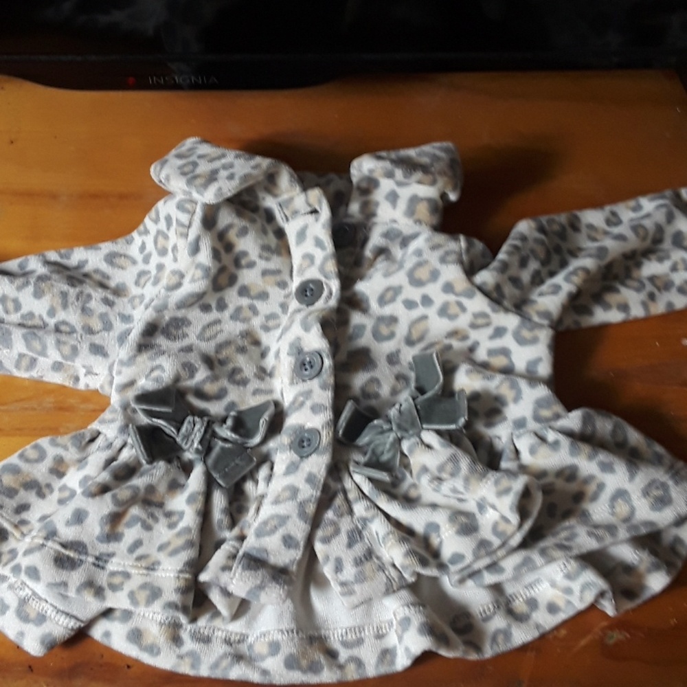 A little grey baby jackey